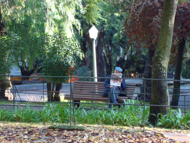 [DSC06876.JPG]