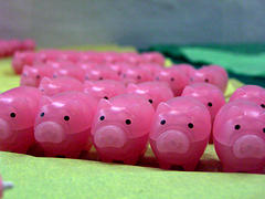 [3414961_7f58328421_m.jpg]