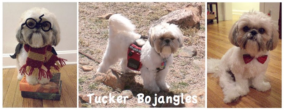 Tucker Bojangles