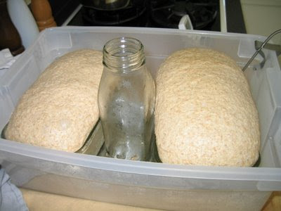 Proofing box: I use a heating