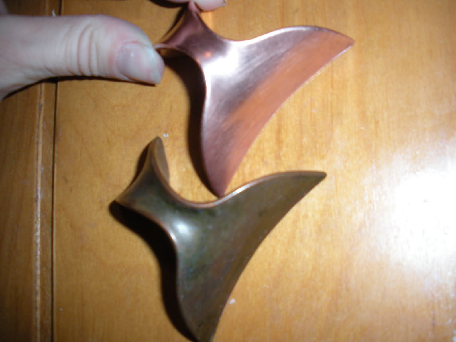 Carrie's Great Adventures The Brasso Experiment