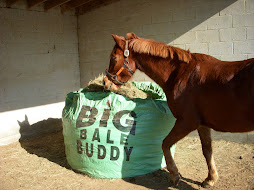 Tempo with his Big Bale Buddy