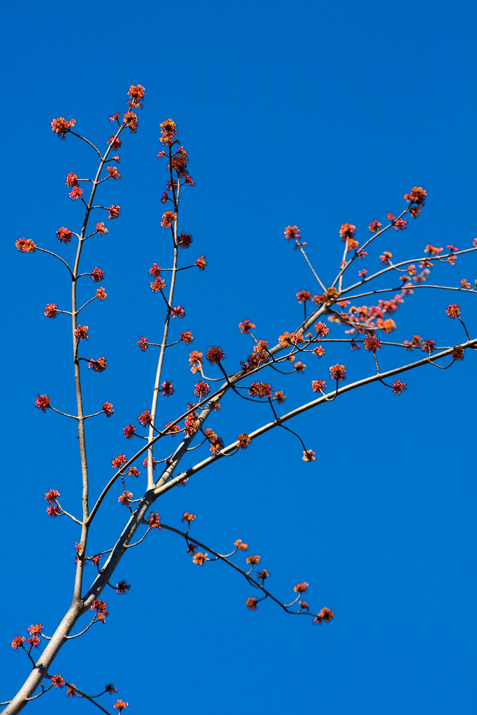 [20090212-IMG_0393.jpg]