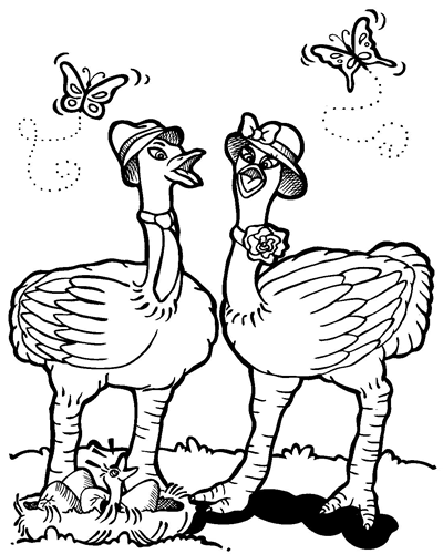 [desenhos+de+aves+para+colorir+avestruz.gif]