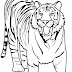 Animais para colorir desenho de tigre