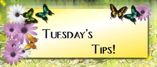 [Tuesday's+tips.JPG]