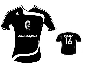 CAMISETA OFICIAL INTERPROMOS 2010