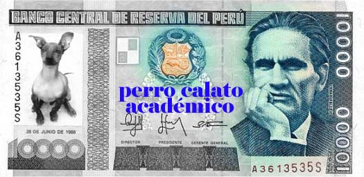 Perro Calato Académico