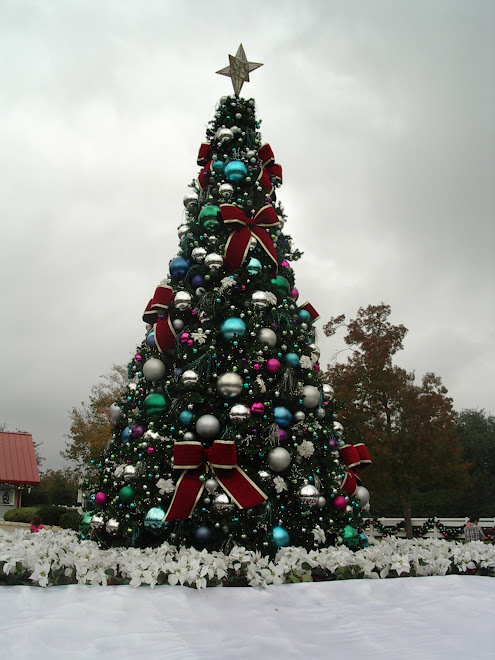 Christmas Tree at Sea World