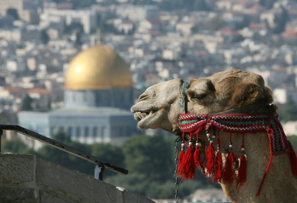 [jerusalem]