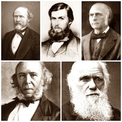Darwin fez uso das premissas dos darwinistas sociais Darwinistas+sociais+-+darwin+morgan+galton+taylor+spencer