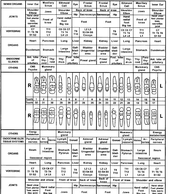 Enlightened Healing Meridian Dentistry