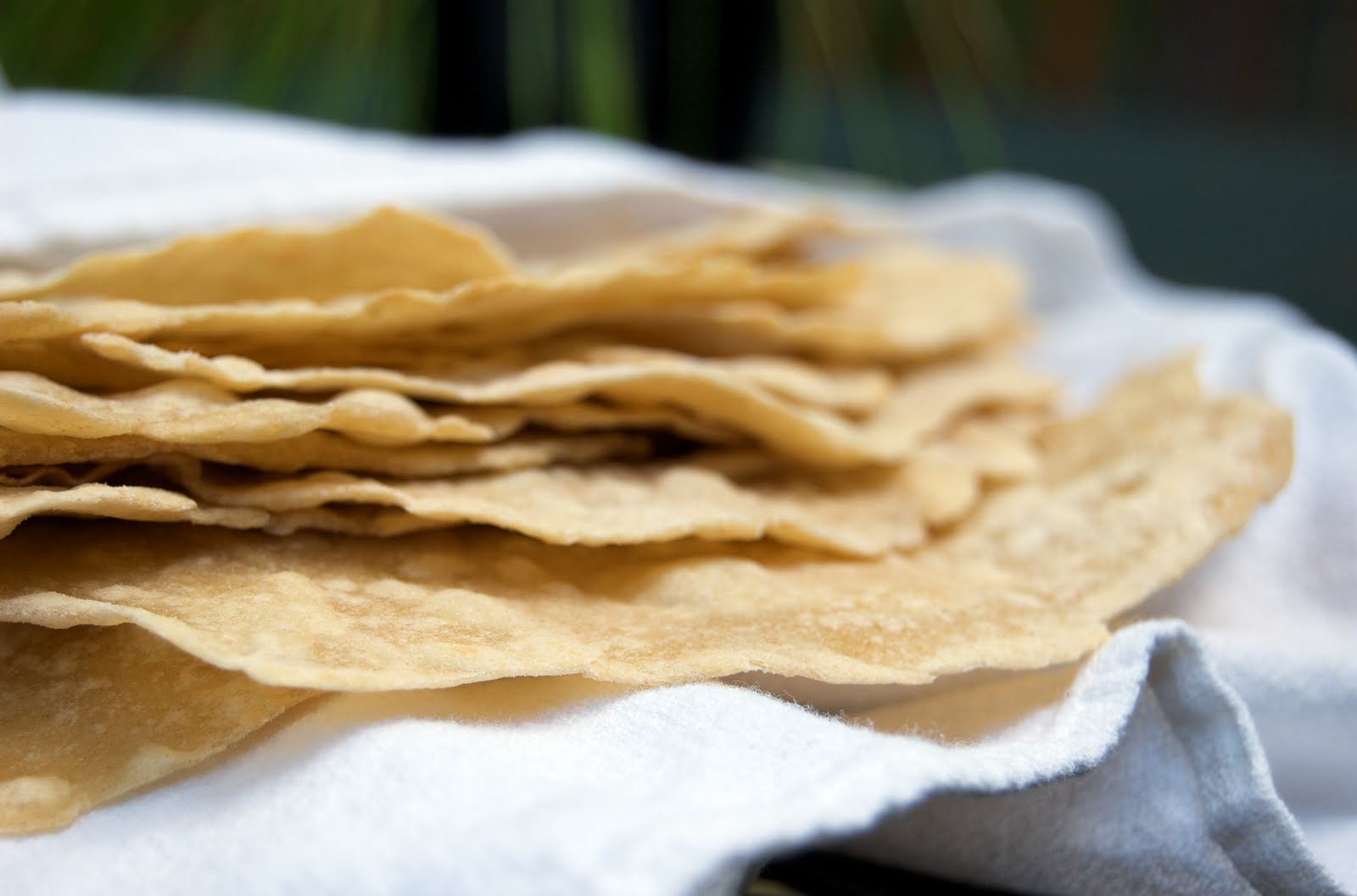 The Ginger Cook Whole Wheat Tortillas