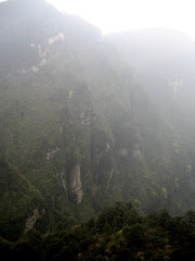 Emei Shan mist-wreathed hillside