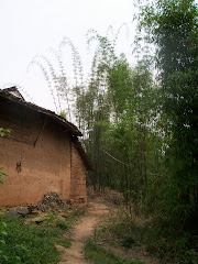 clay farmhouse and bamboo