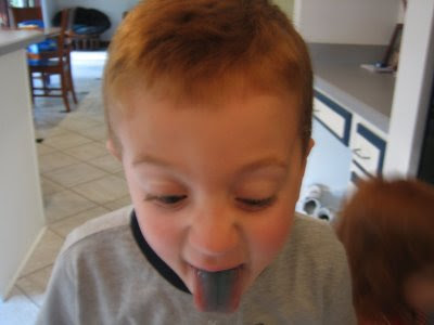 Blue Tongue Jacob 2