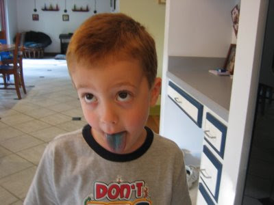Blue Tongue Jacob 3