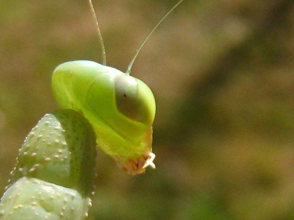 [IMG_9694.jpg]
