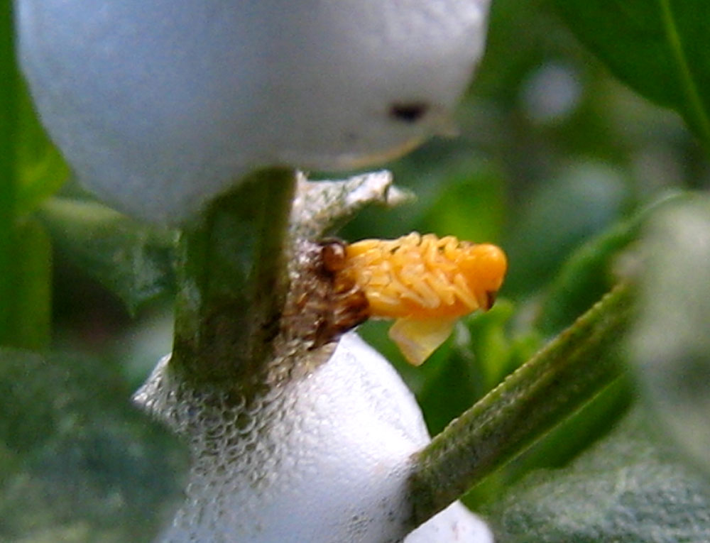 [IMG_3353.jpg]