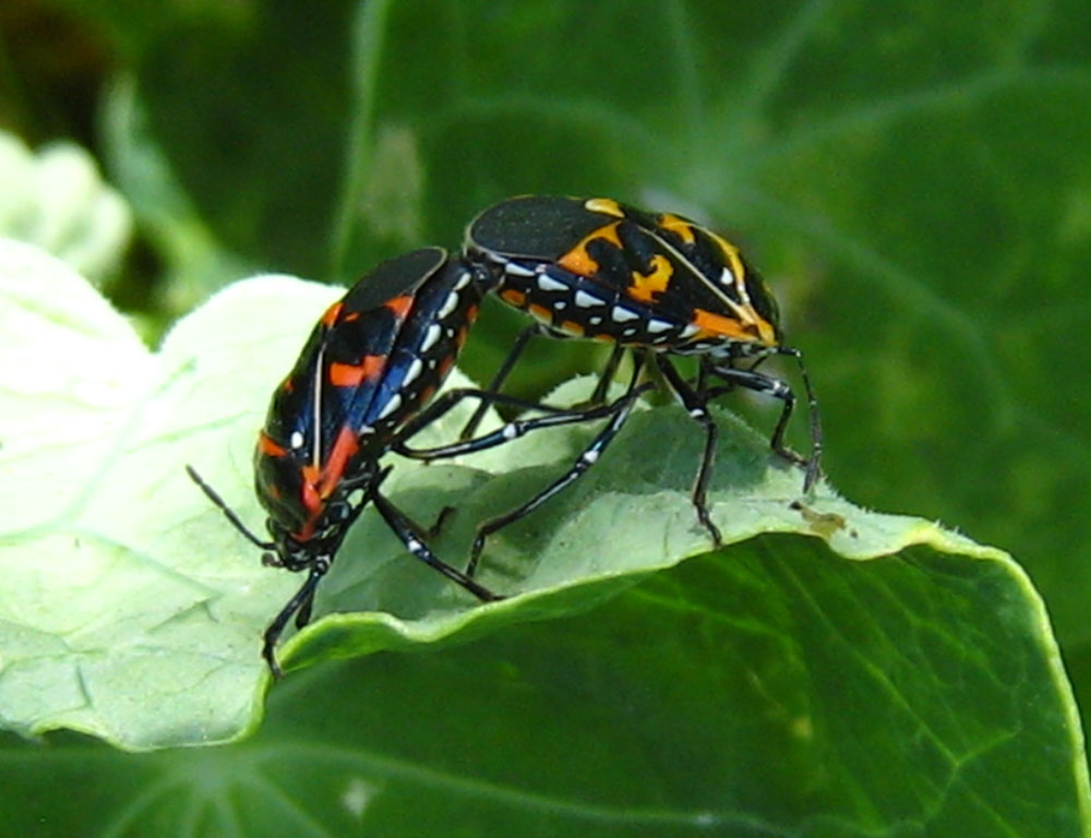 [IMG_3968.jpg]