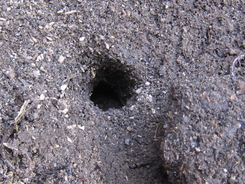 [IMG_5594.JPG]