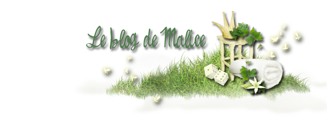 Le blog de Malice