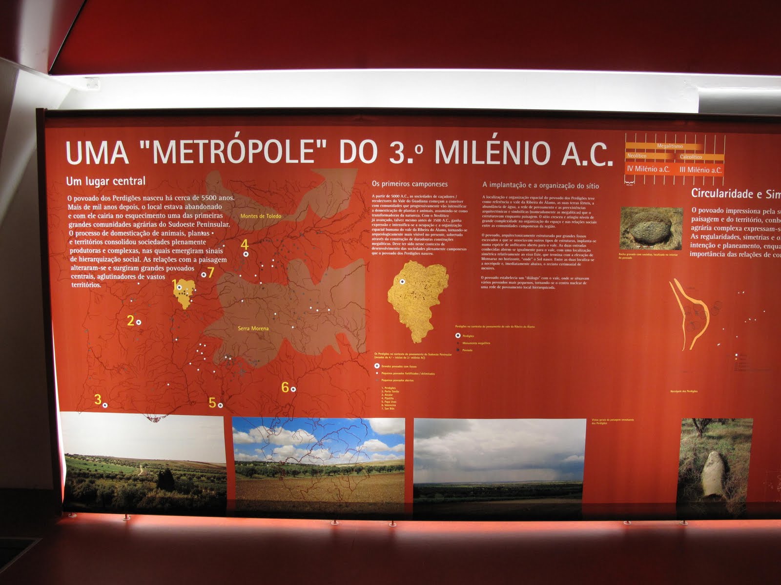 [PerdigõesExp+(60).JPG]