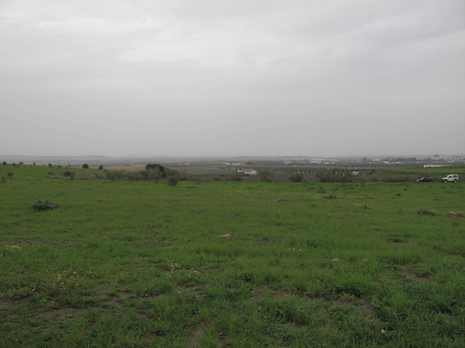 [CromPerdigoes+(6).JPG]