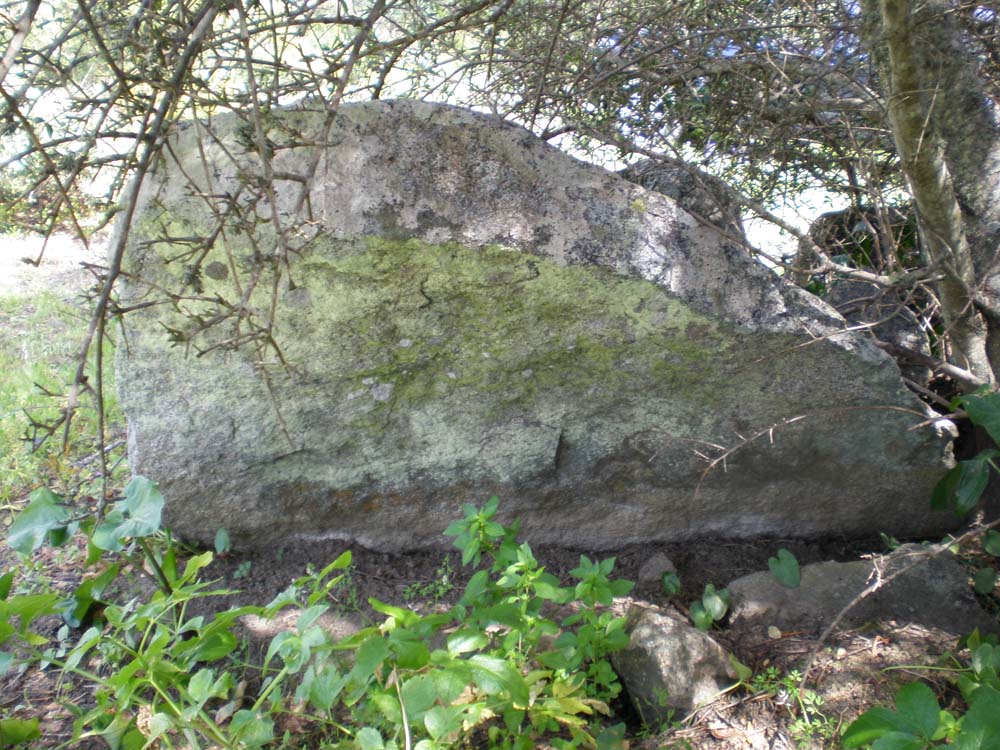 [AntAreias2Cama.jpg]