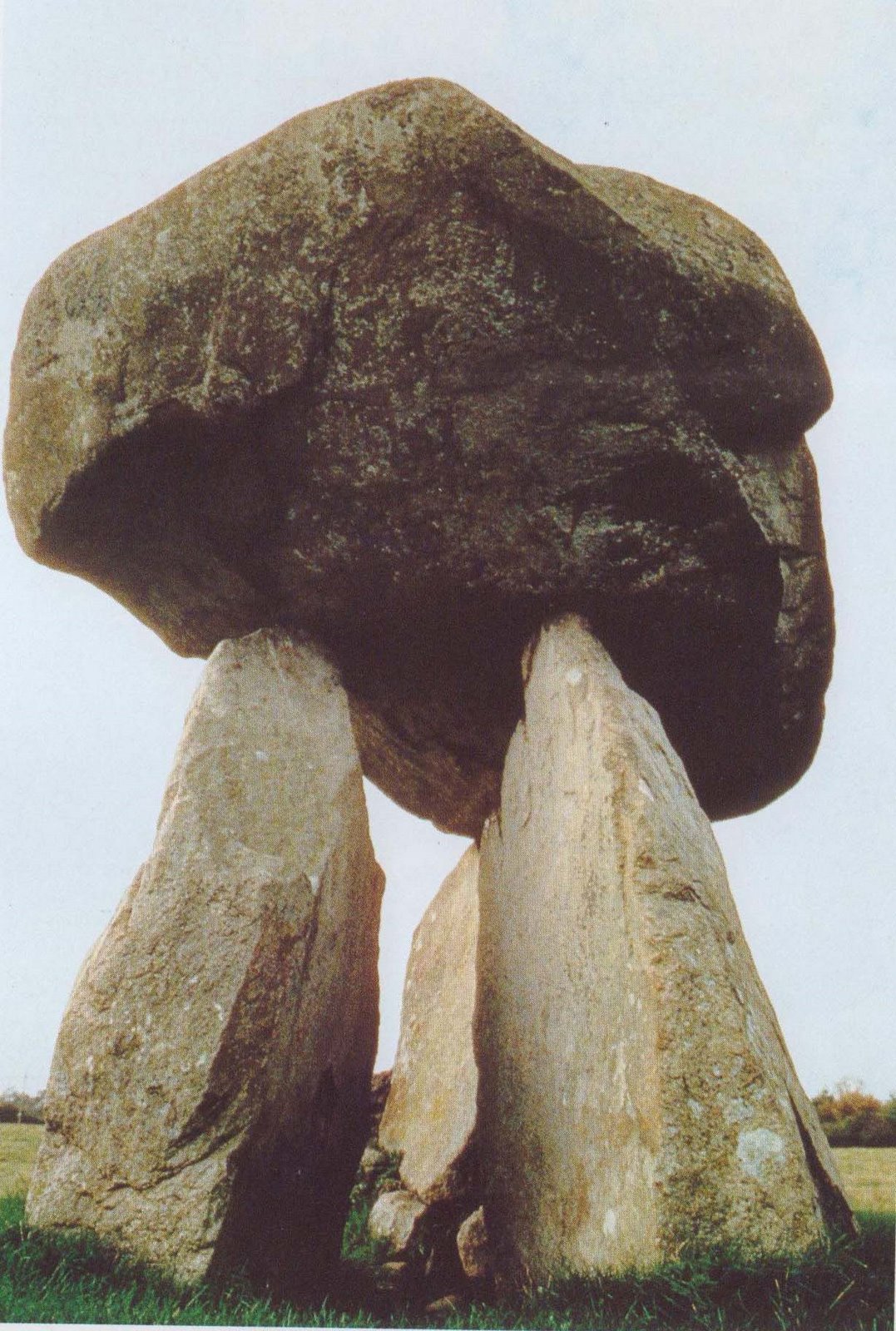 [Groleck.jpg]