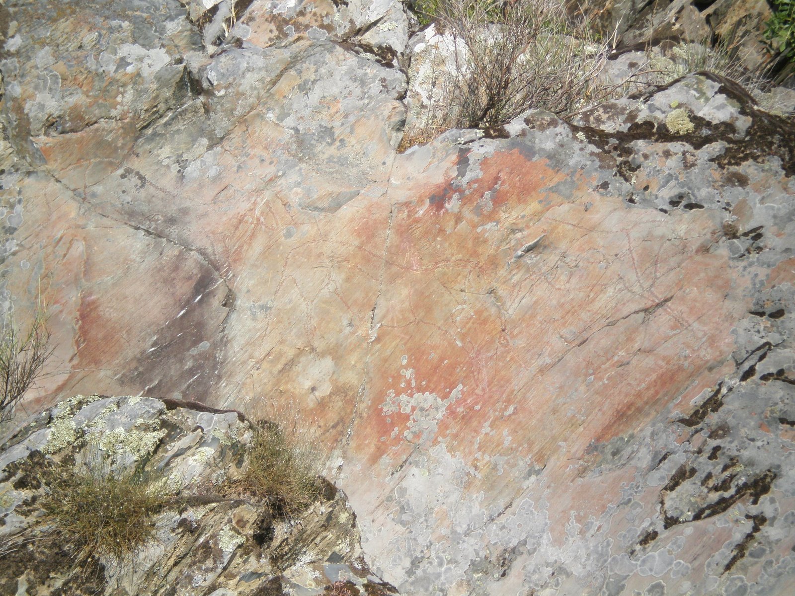 [20090701_SiegaVierde_0096.JPG]