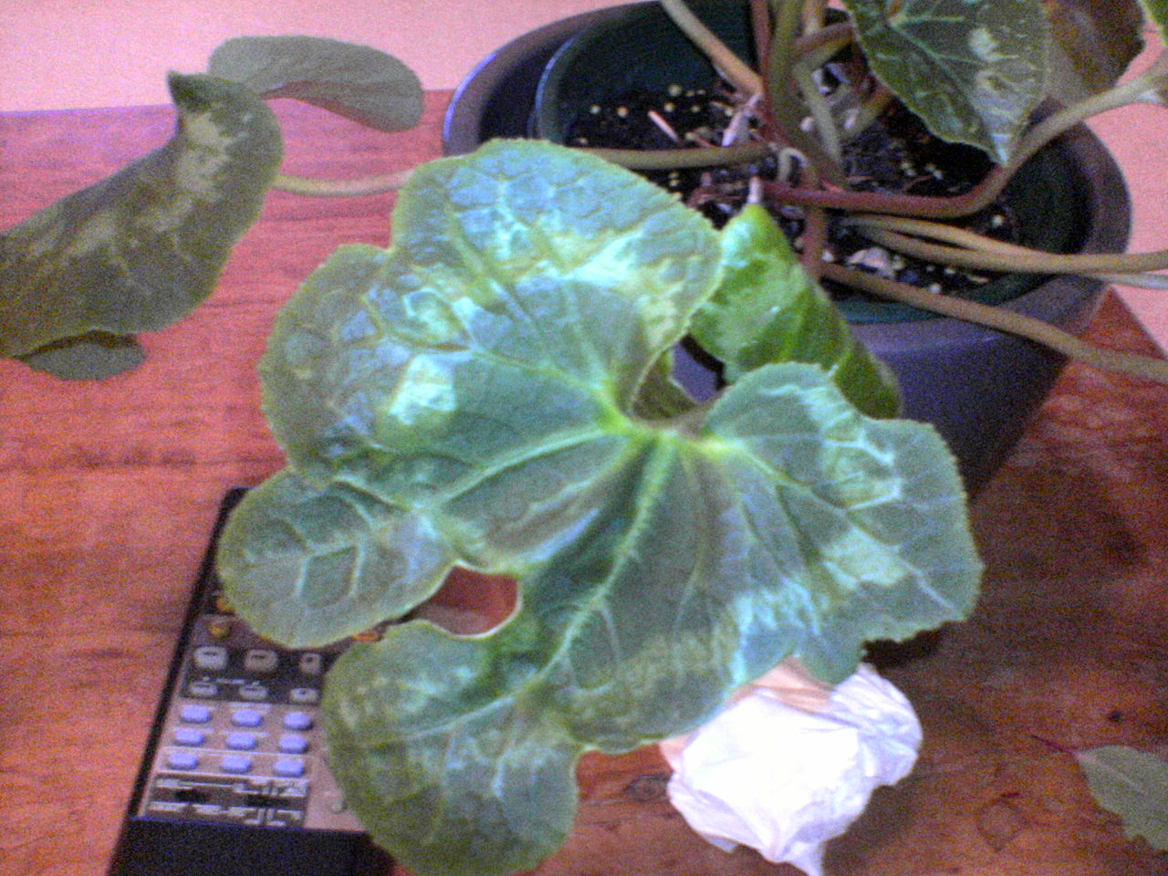 [blogentry13DSC00211.JPG]