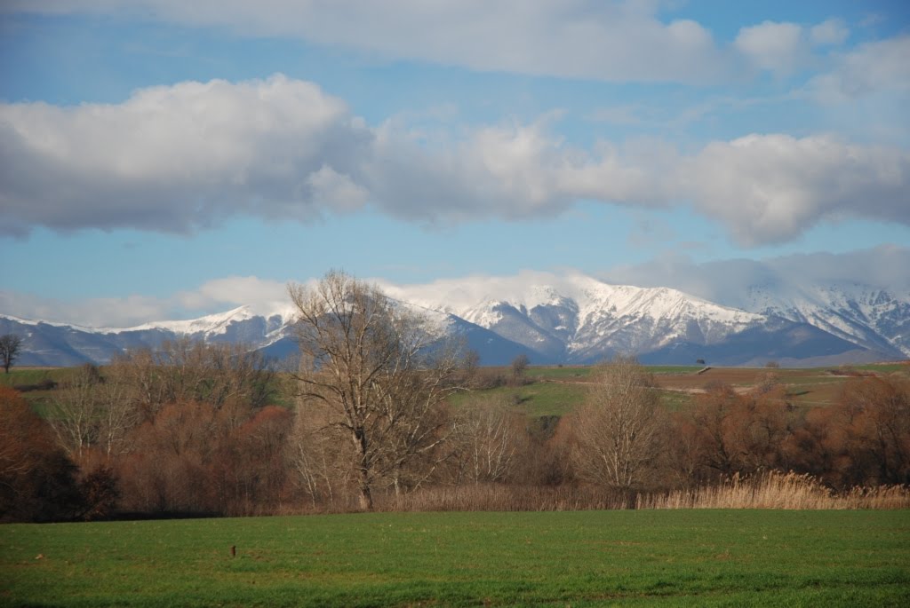 [DSC_1061.JPG]