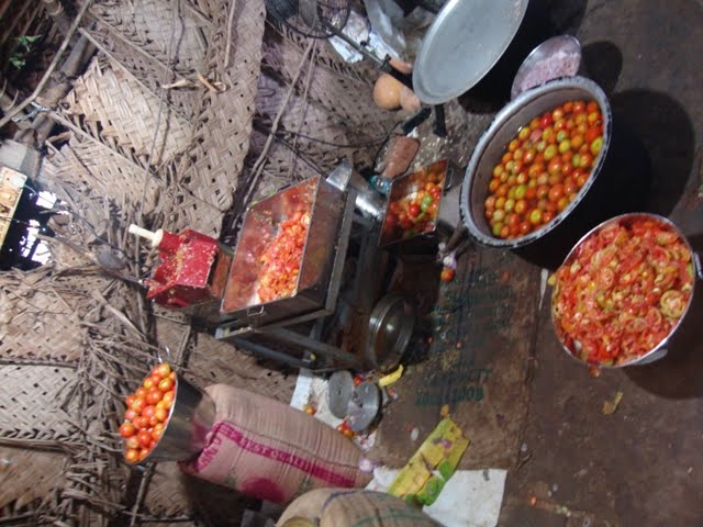 [DSC02633-700277.JPG]