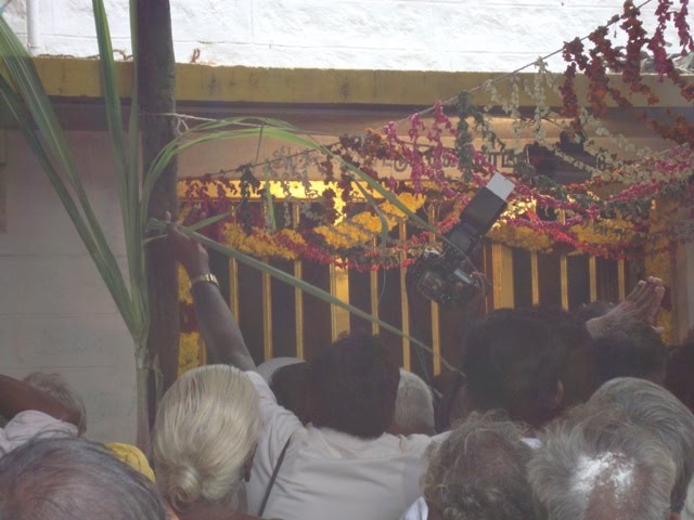 [DSC02775-778529.JPG]