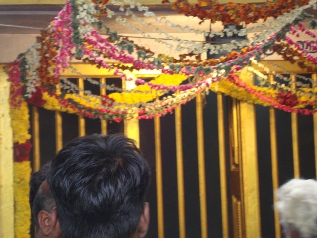 [DSC02782-724654.JPG]