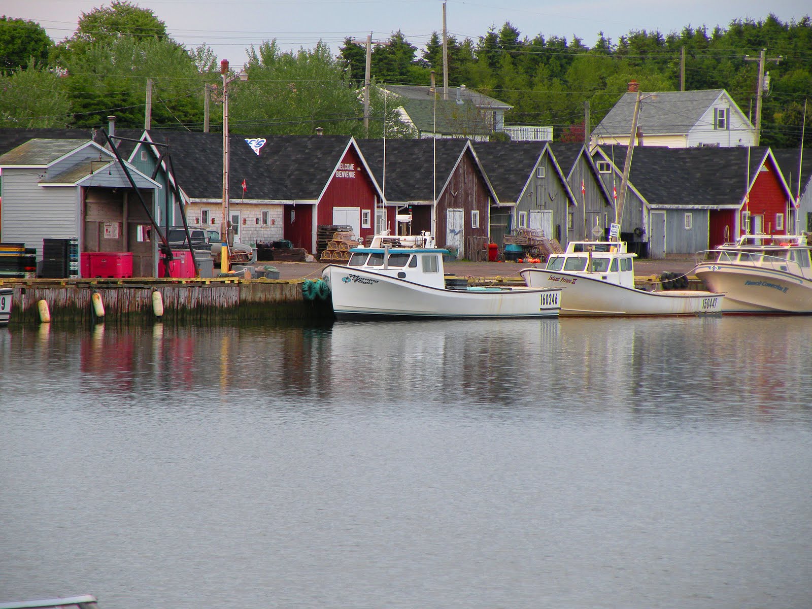 Northern [high]Lights Prince Edward Island