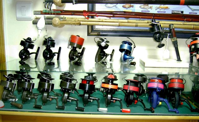 [mi_coleccion-3-1.jpg]