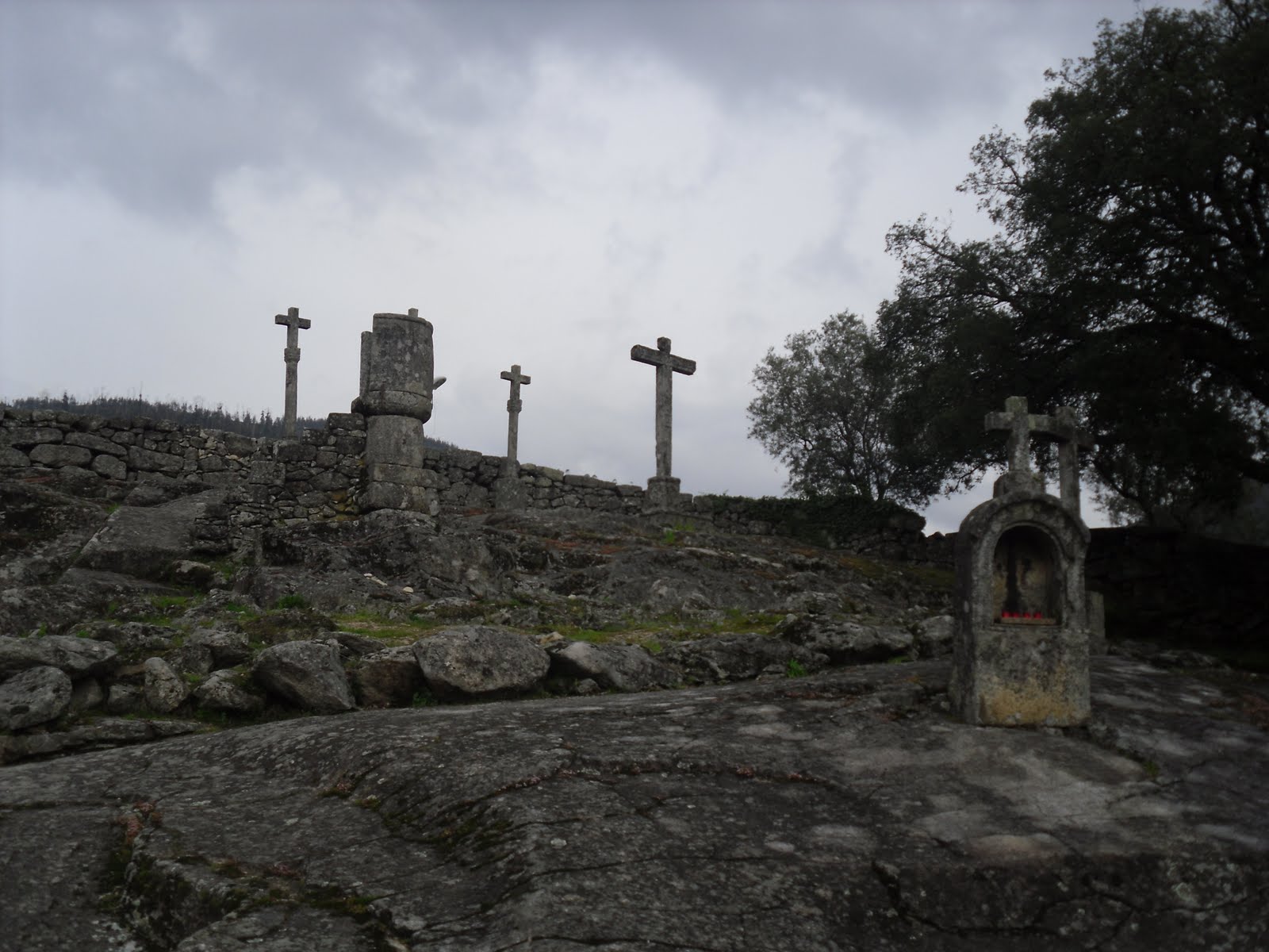 [SDC10684.JPG]