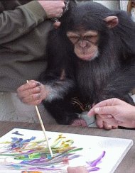 [Chimpanze+a+pintar.bmp]