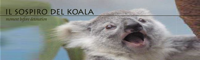 il sospiro del koala