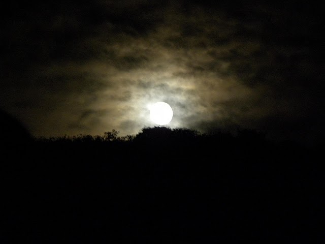 [fullmoon.JPG]