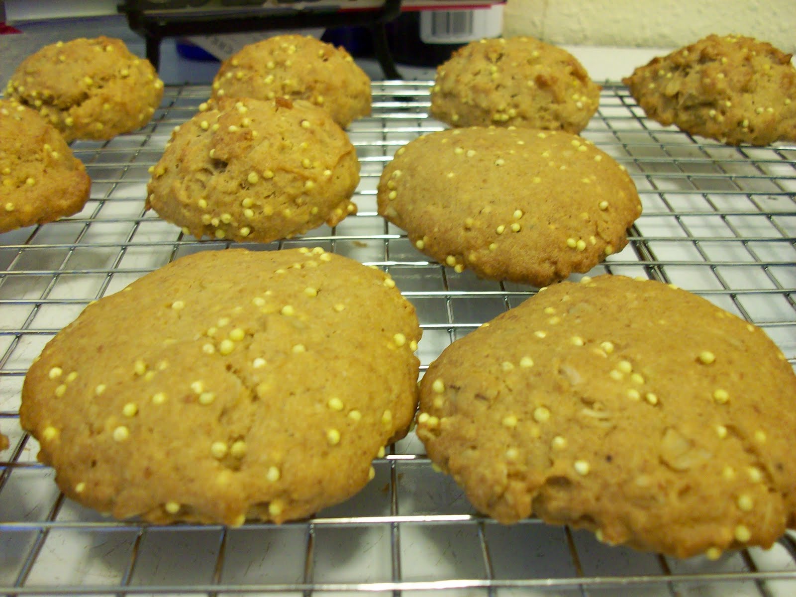 Divine by Nature Ellie Krieger's Honey OatmealRaisin Cookies The