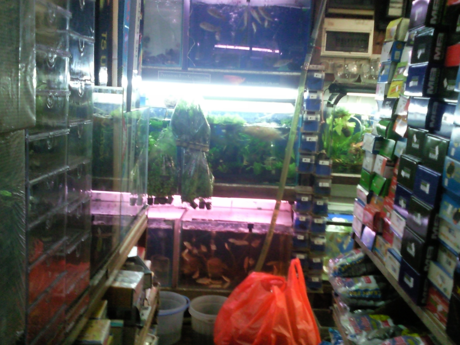 Tropical Fisher Man Fish Tanks And Aquarium CRS C328 LFS Clementi