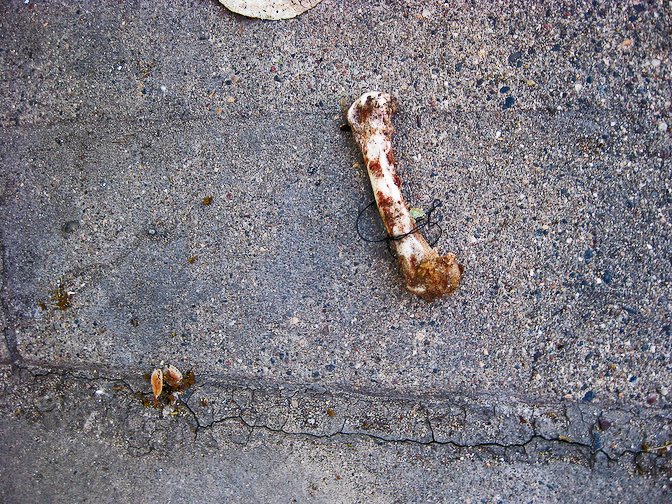 [BusStop223.jpg]