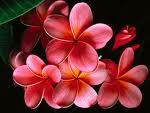 Bellezas Naturales.