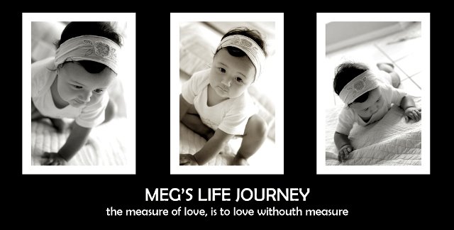 Megs Journey