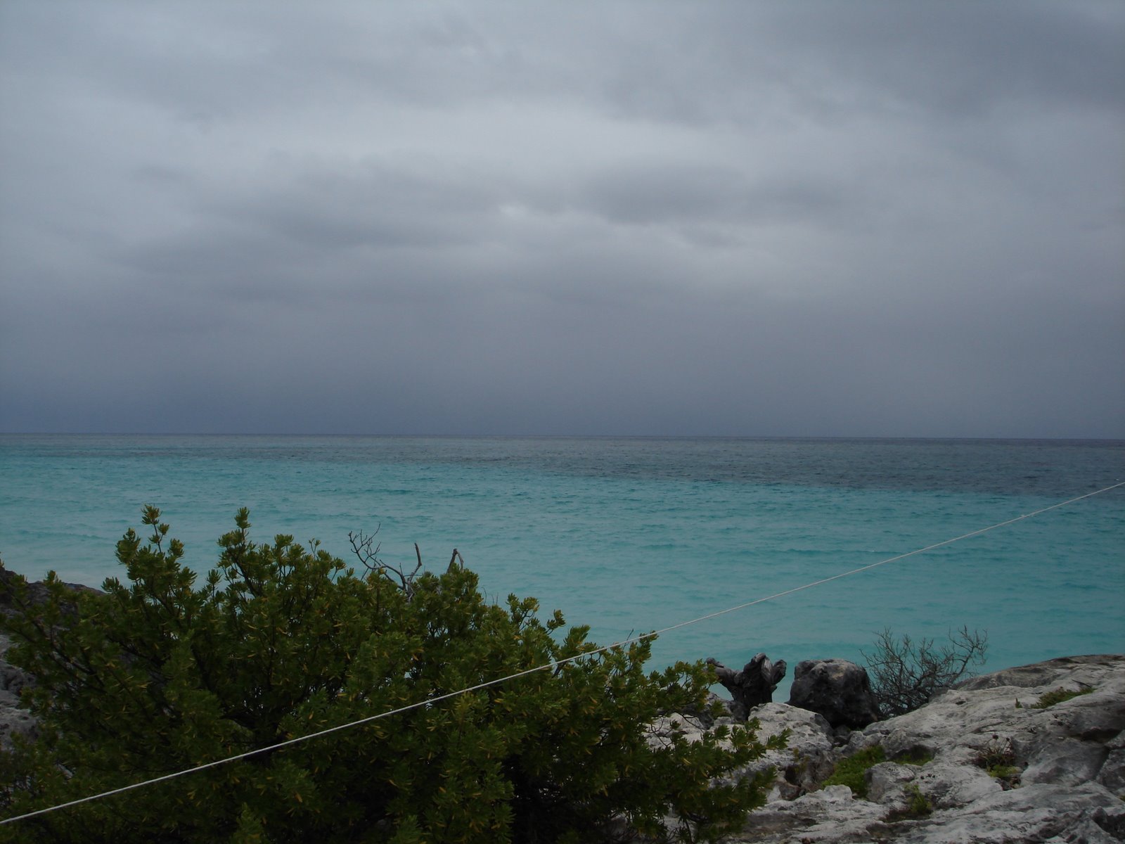 [DSC00261.JPG]