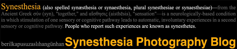 Synesthesia Photography Blog