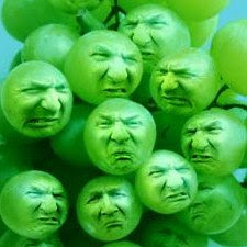 sour%20grapes.jpg